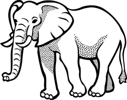 Dibujos de elefantes » ELEFANTEPEDIA